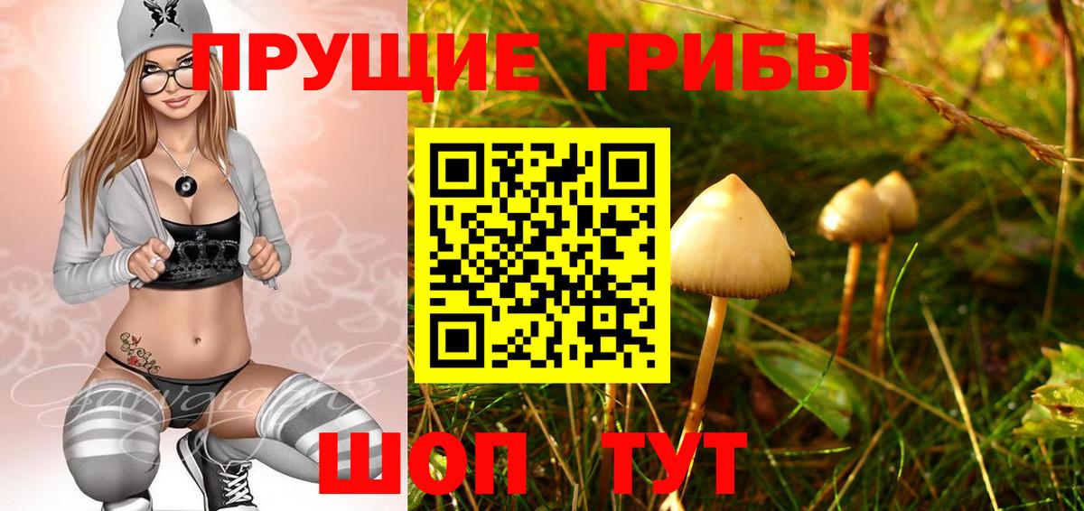 Псилоцибиновые грибы GOLDEN TEACHER Воркута